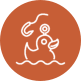 animations